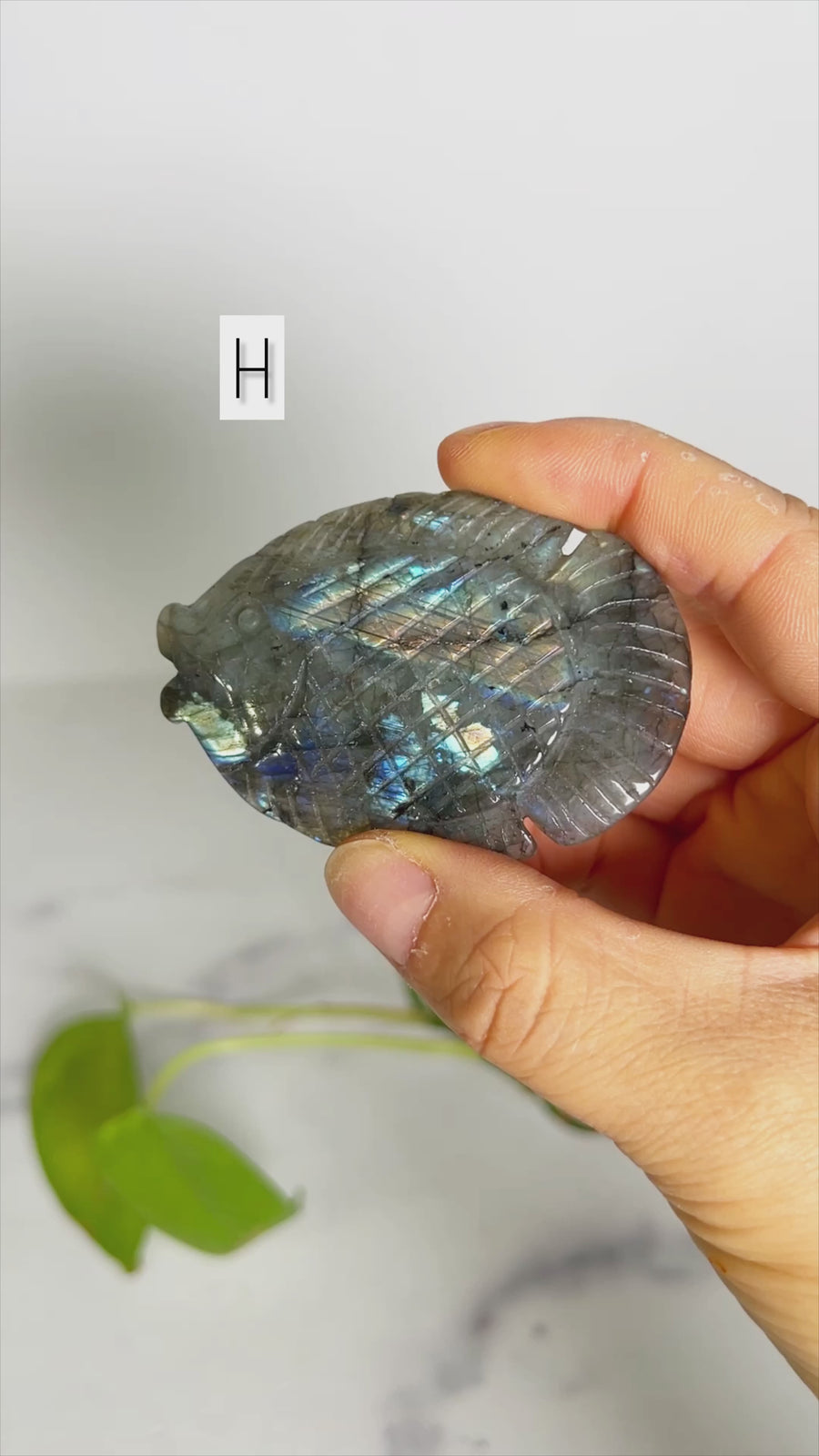 Labradorite Fish Carving