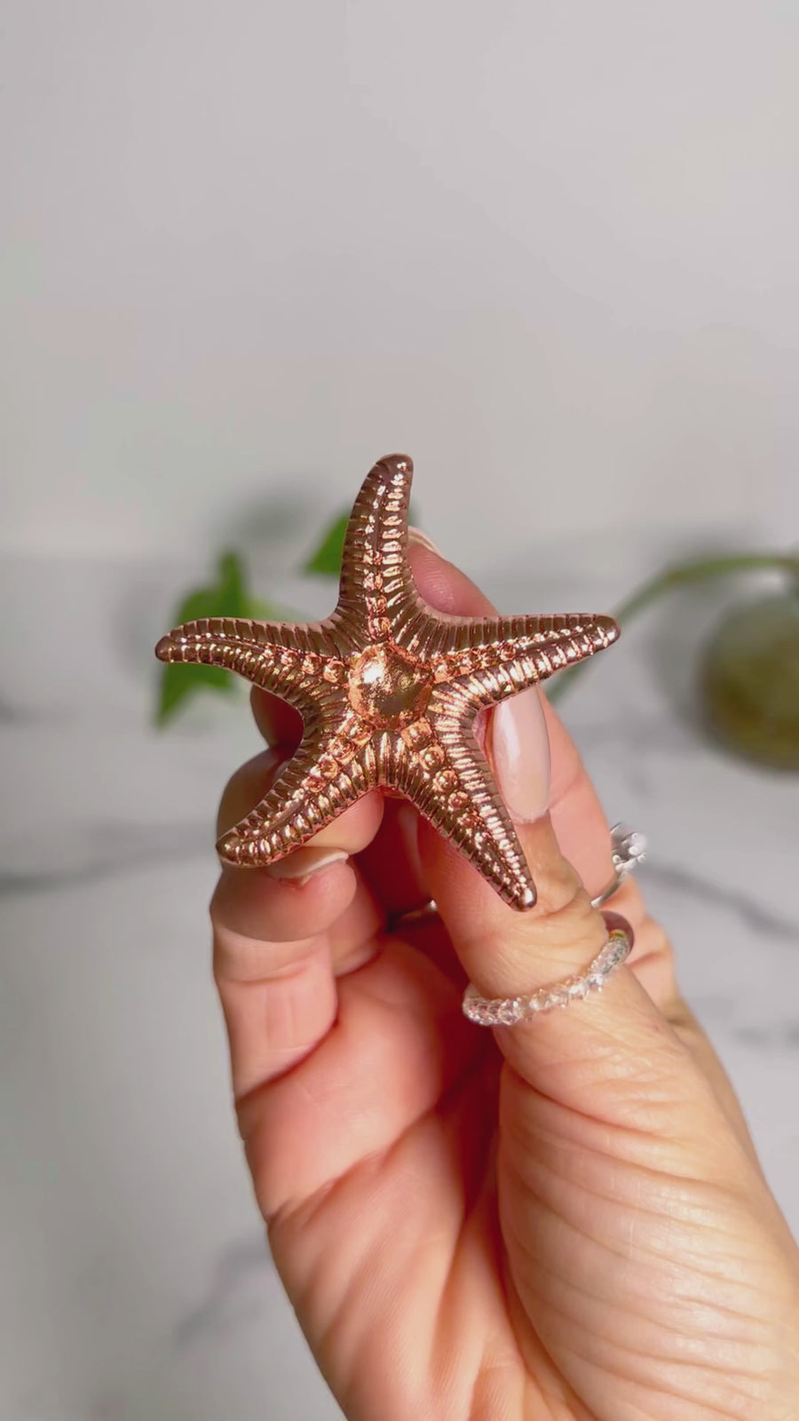 Starfish Sphere Holder