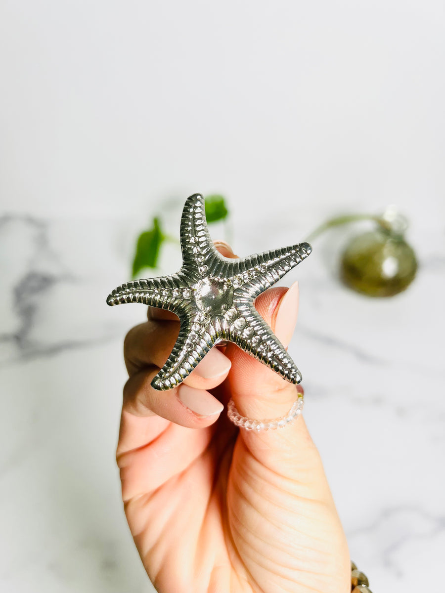 Starfish Sphere Holder