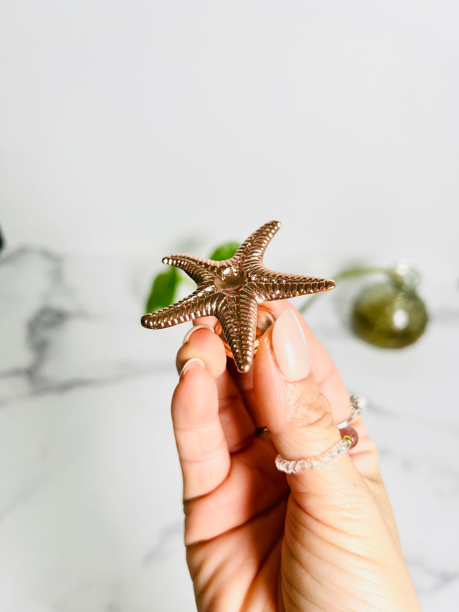 Starfish Sphere Holder