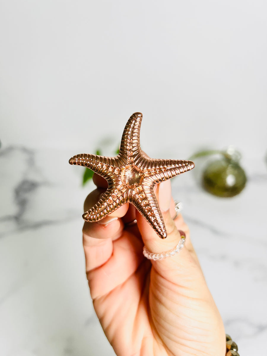 Starfish Sphere Holder